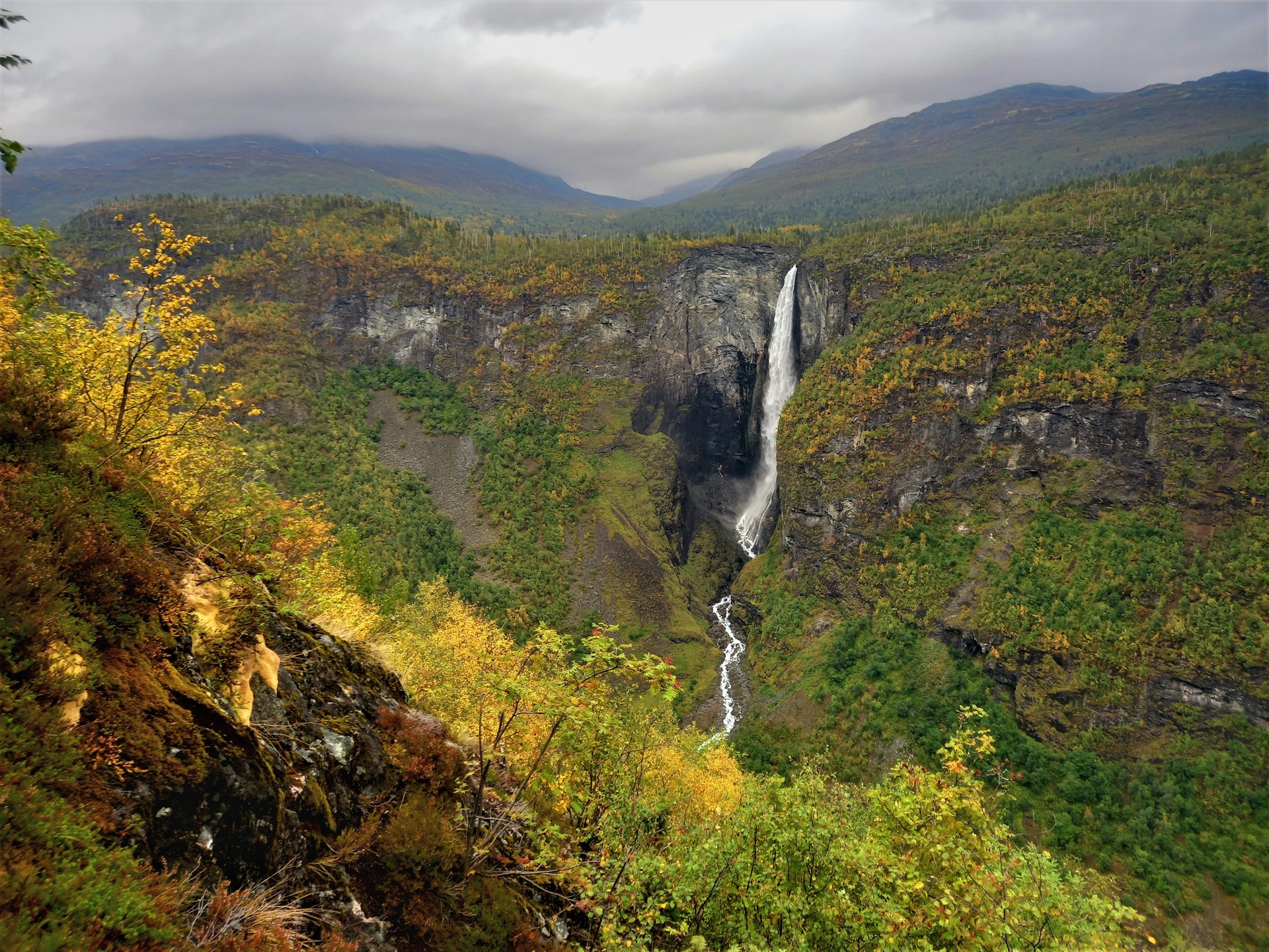 Vibrant Fall and Northern Lights