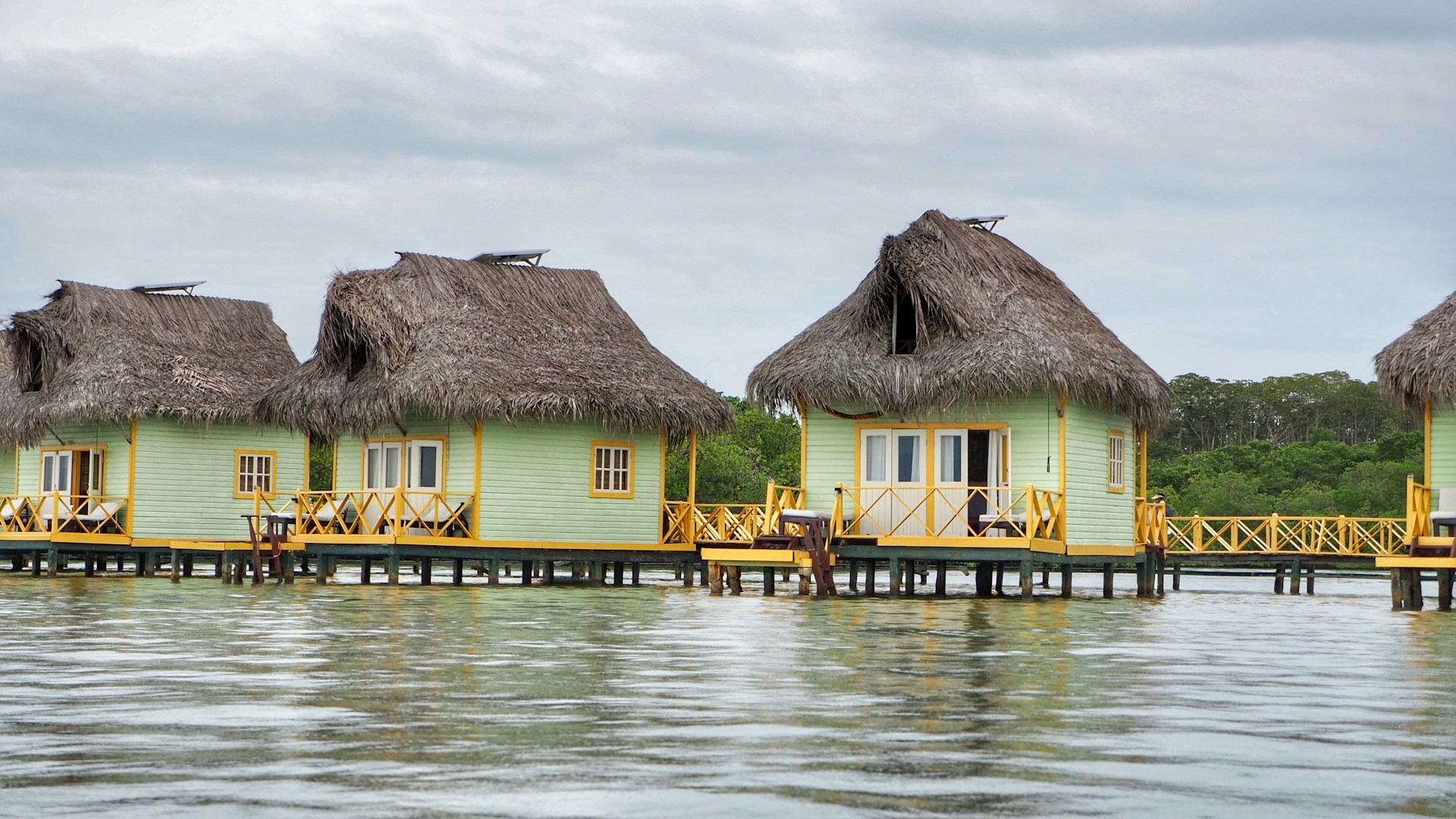 Transitional Warmth and Cultural Riches