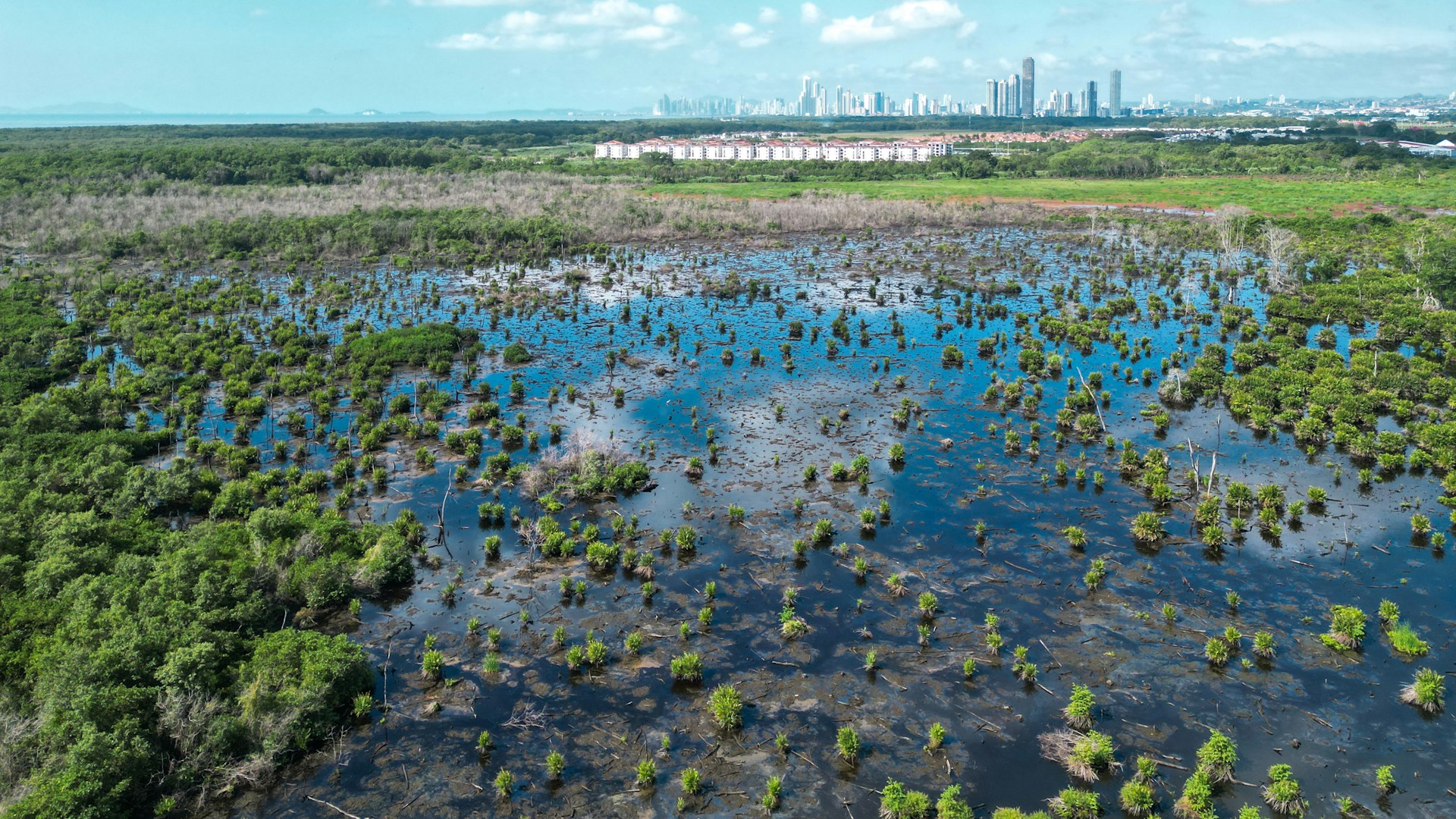 Lush Rainforests and Coastal Serenity