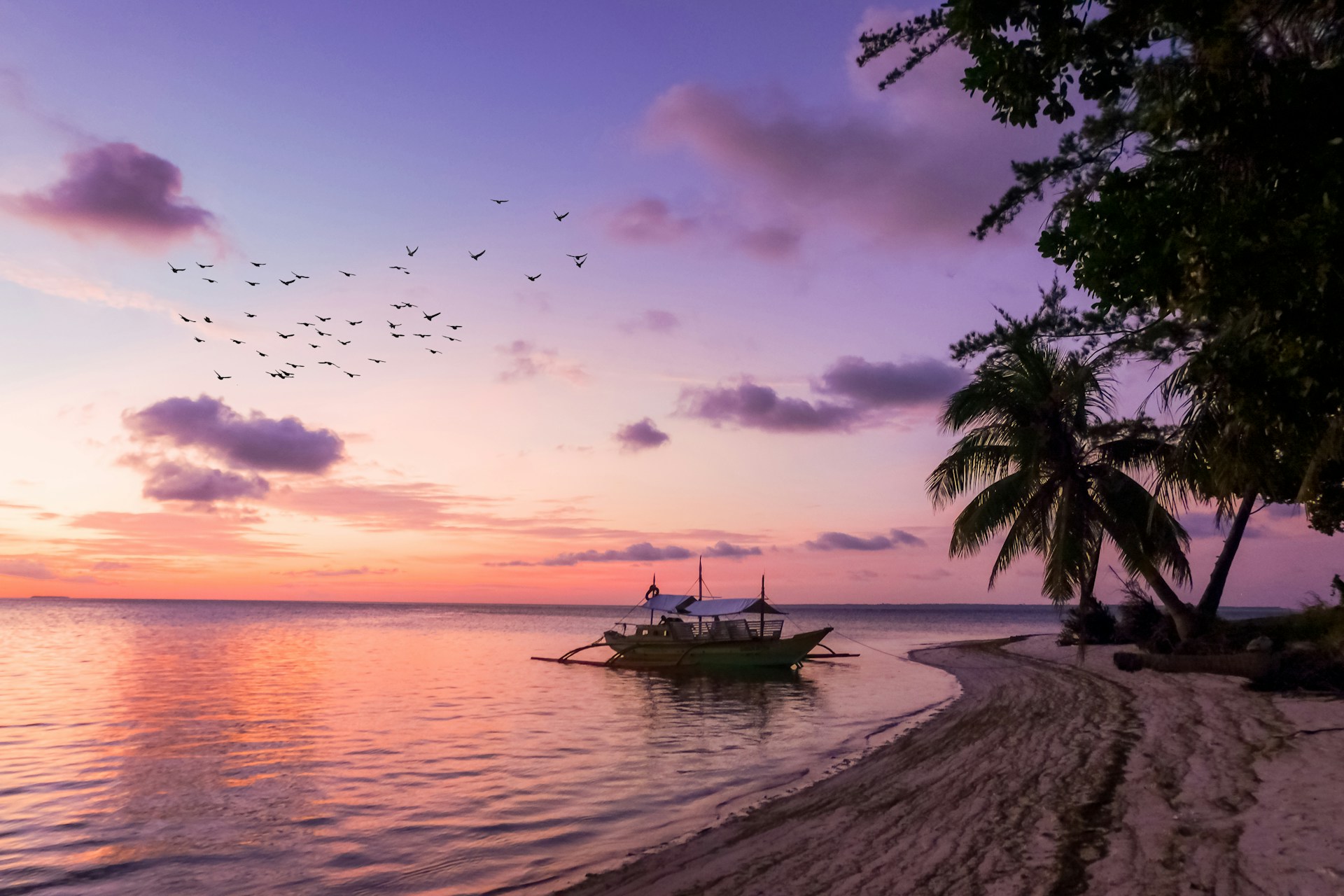 Romantic Tropical Glow