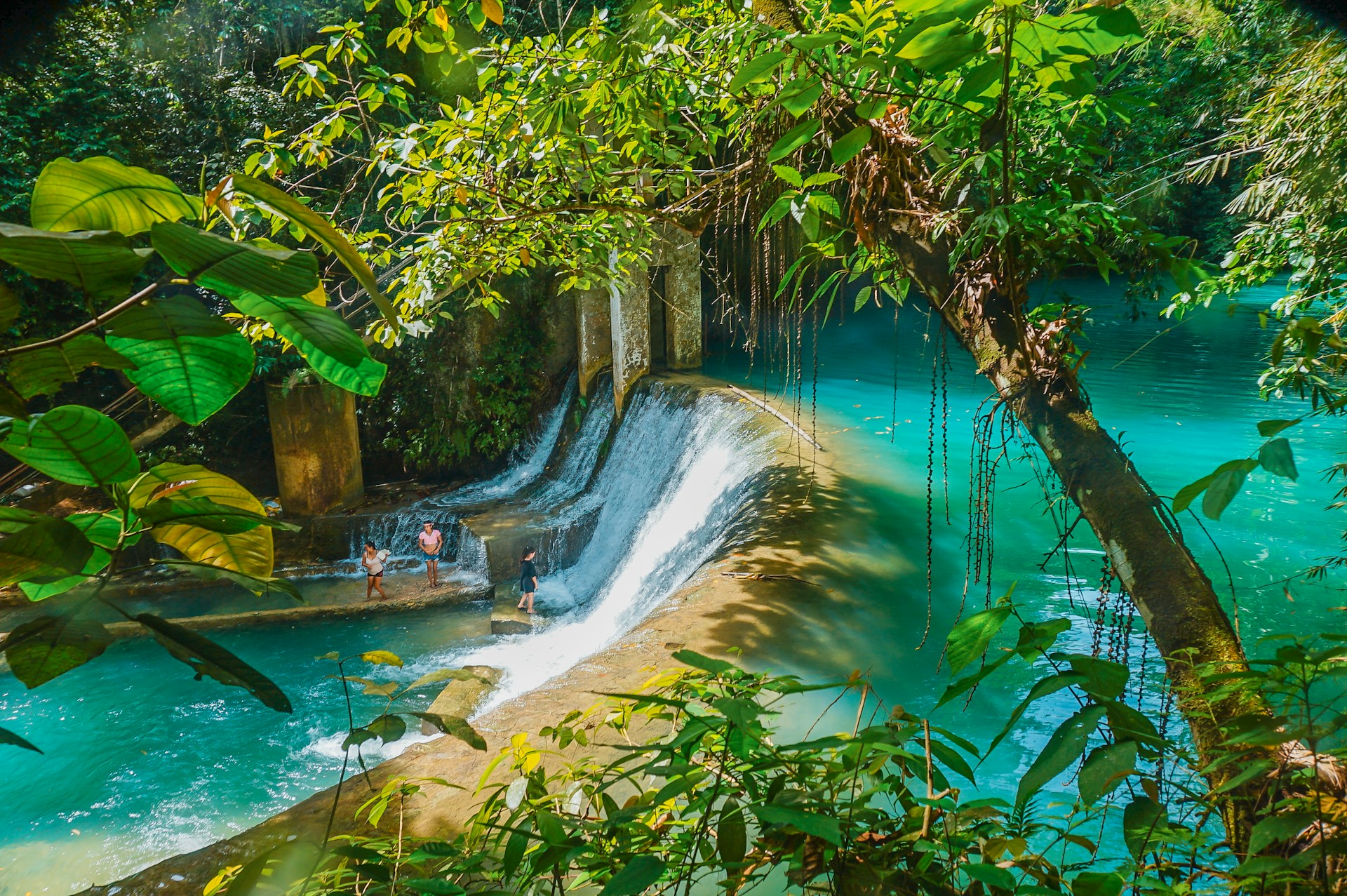 Lush Islands and Coastal Retreats