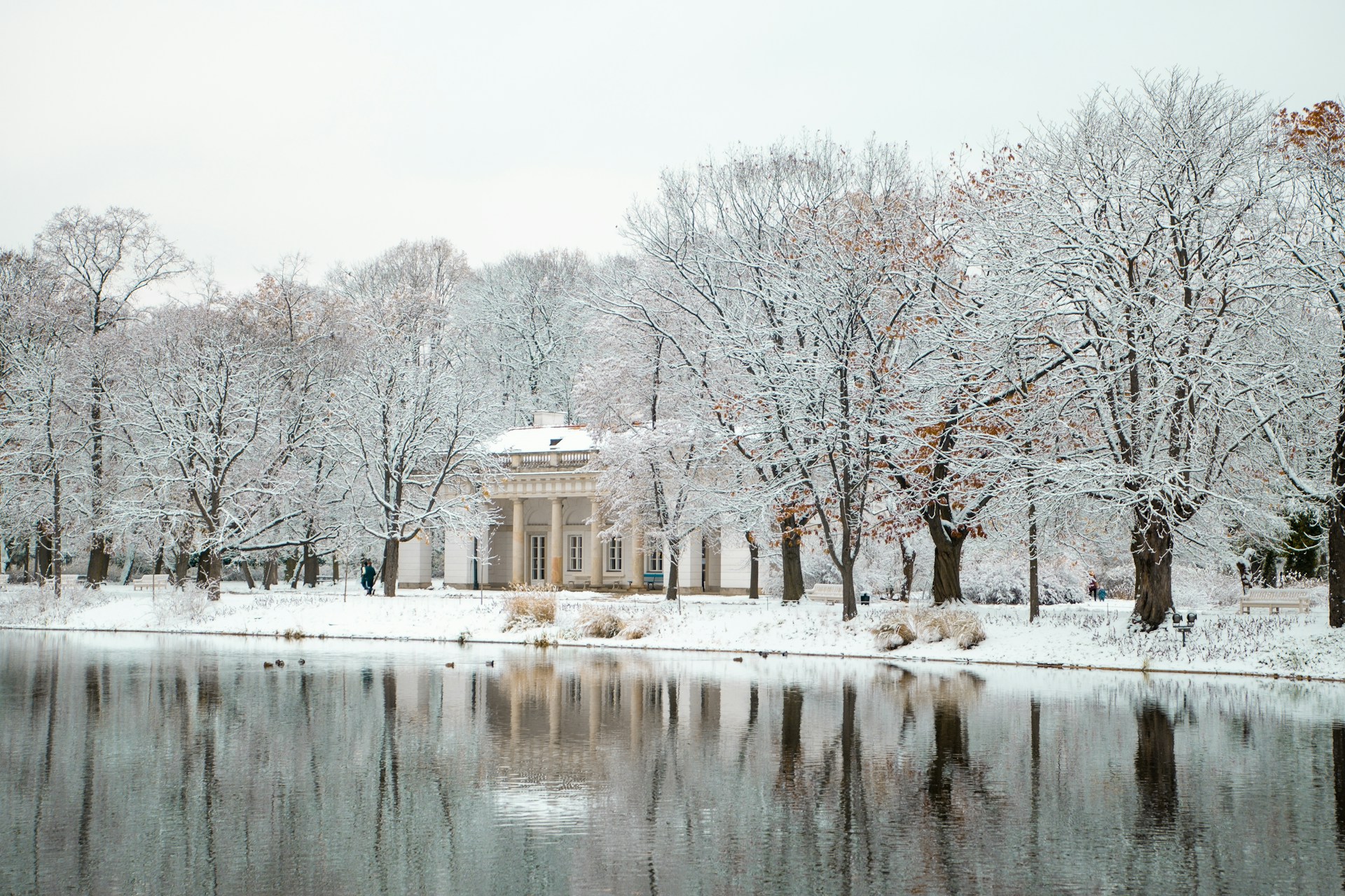 Winter’s Enchanted Charm