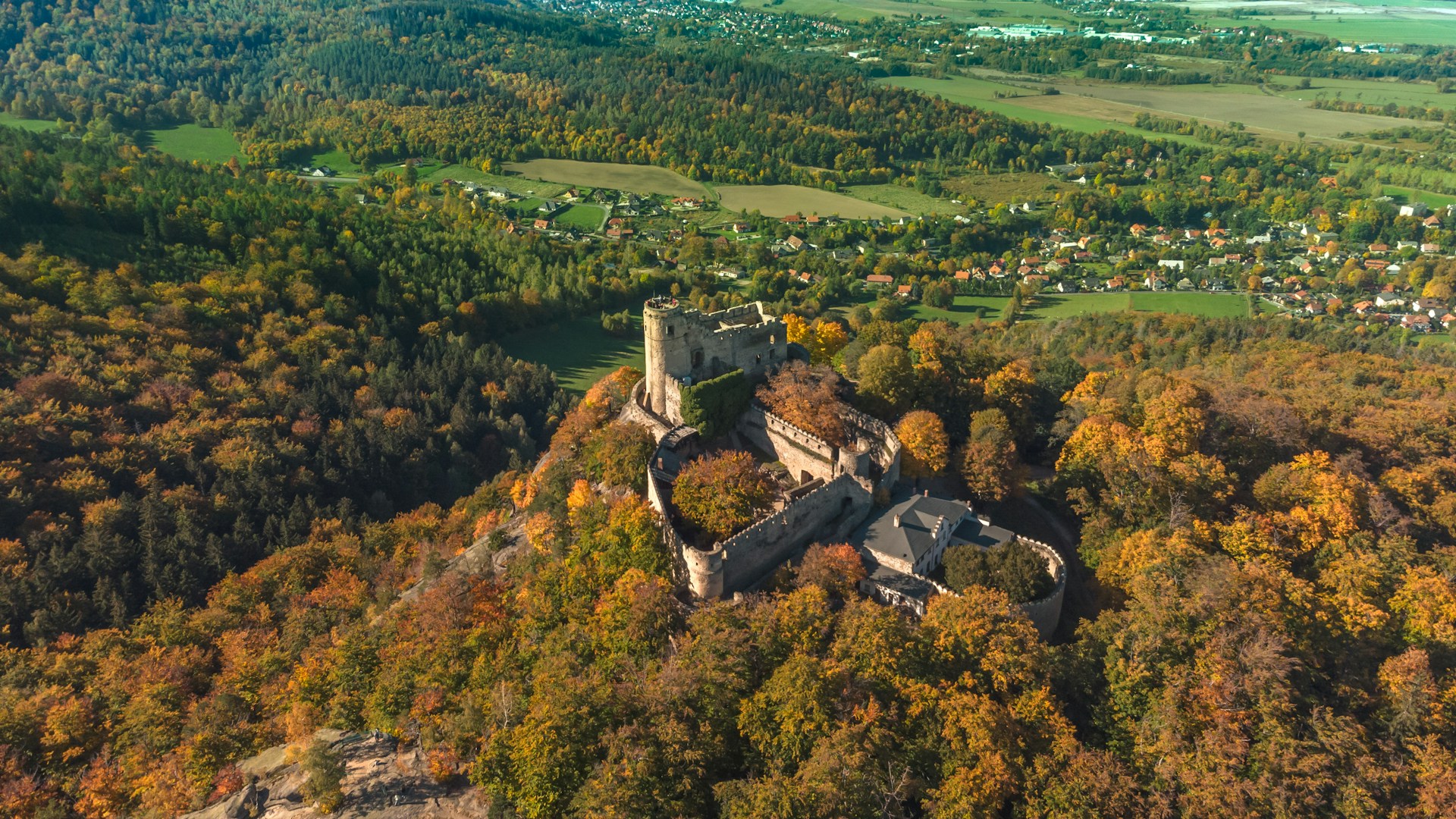 Autumn’s Golden Hues