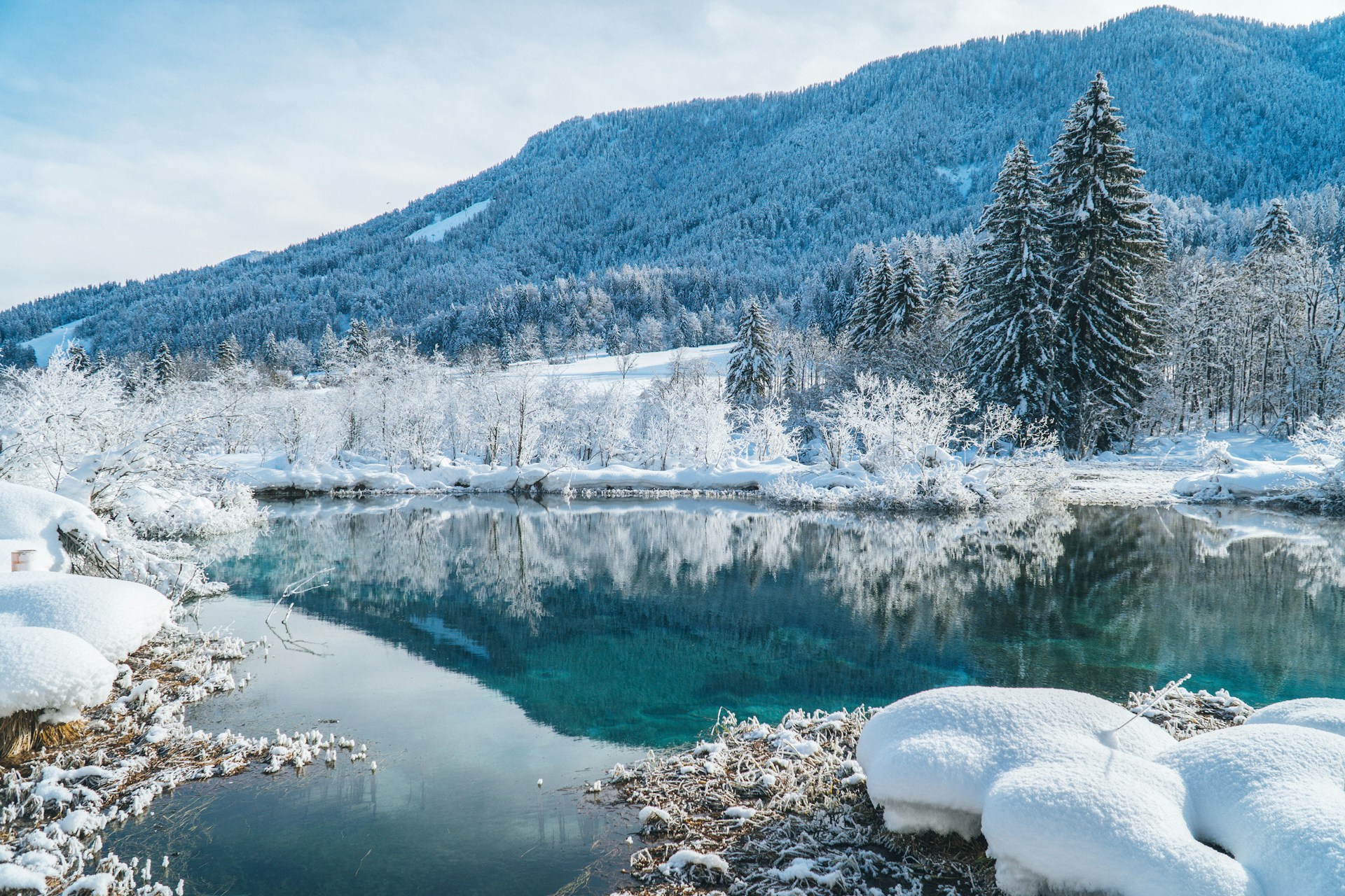 Winter’s Alpine Serenity
