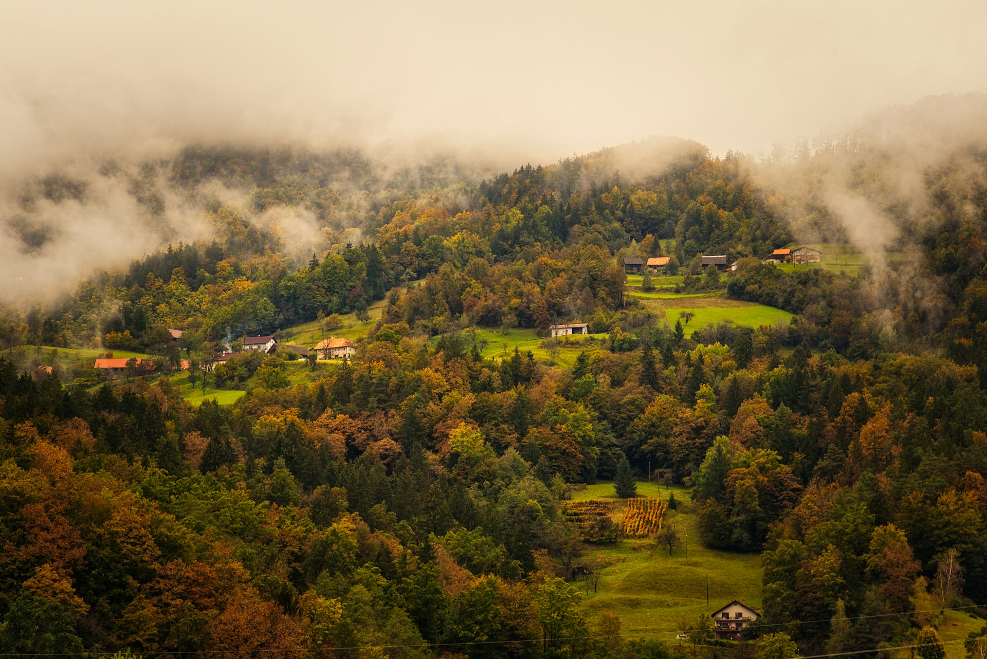 Vibrant Fall and Cultural Energy