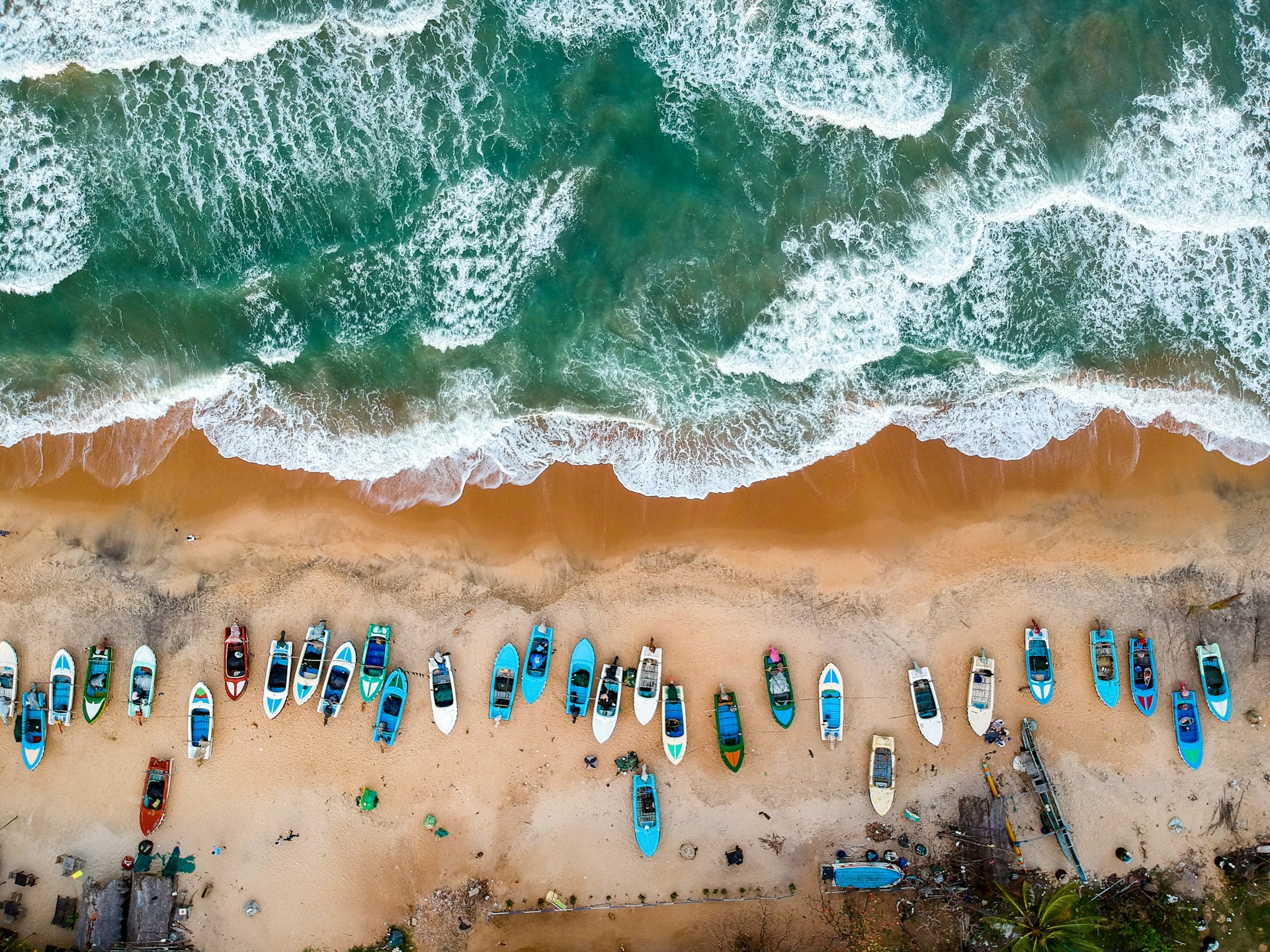 Lush East Coast and Festival Energy