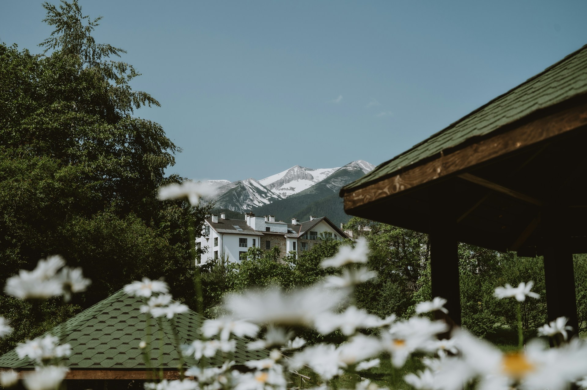 Frosty Hues and Cozy Retreats