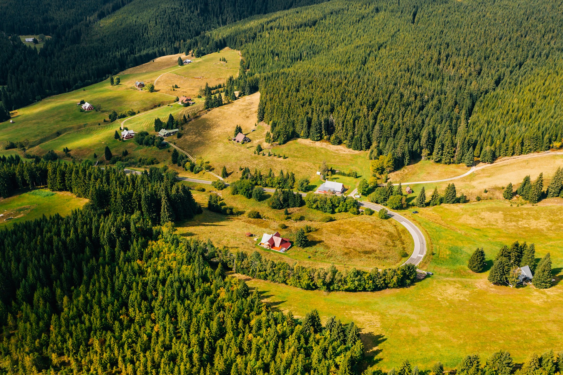 Crisp Harvests and Cultural Warmth