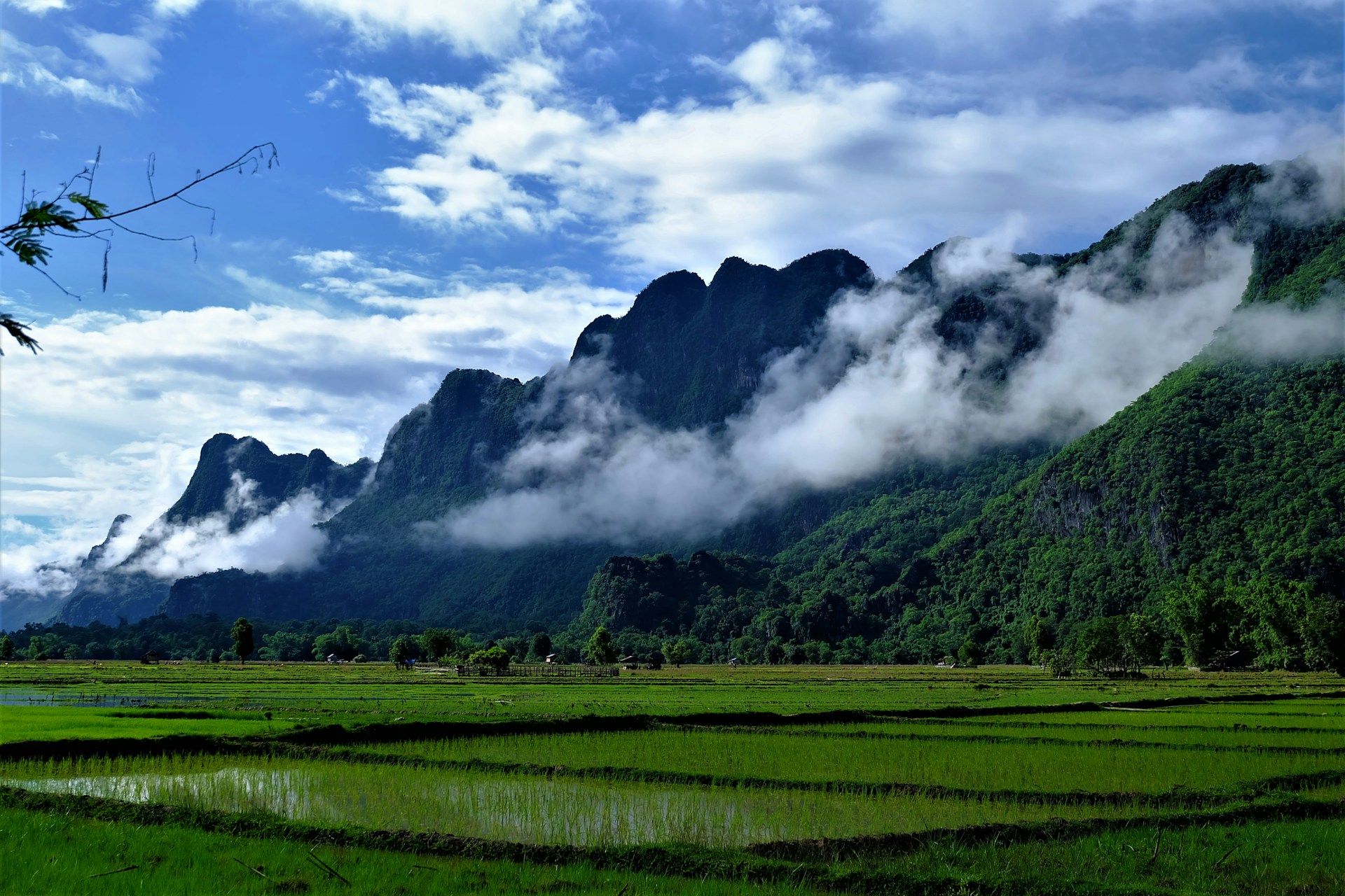 Early Rains and Lush Serenity