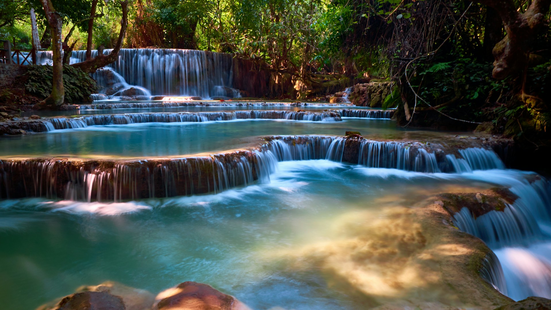 Lush Jungles and Spiritual Serenity