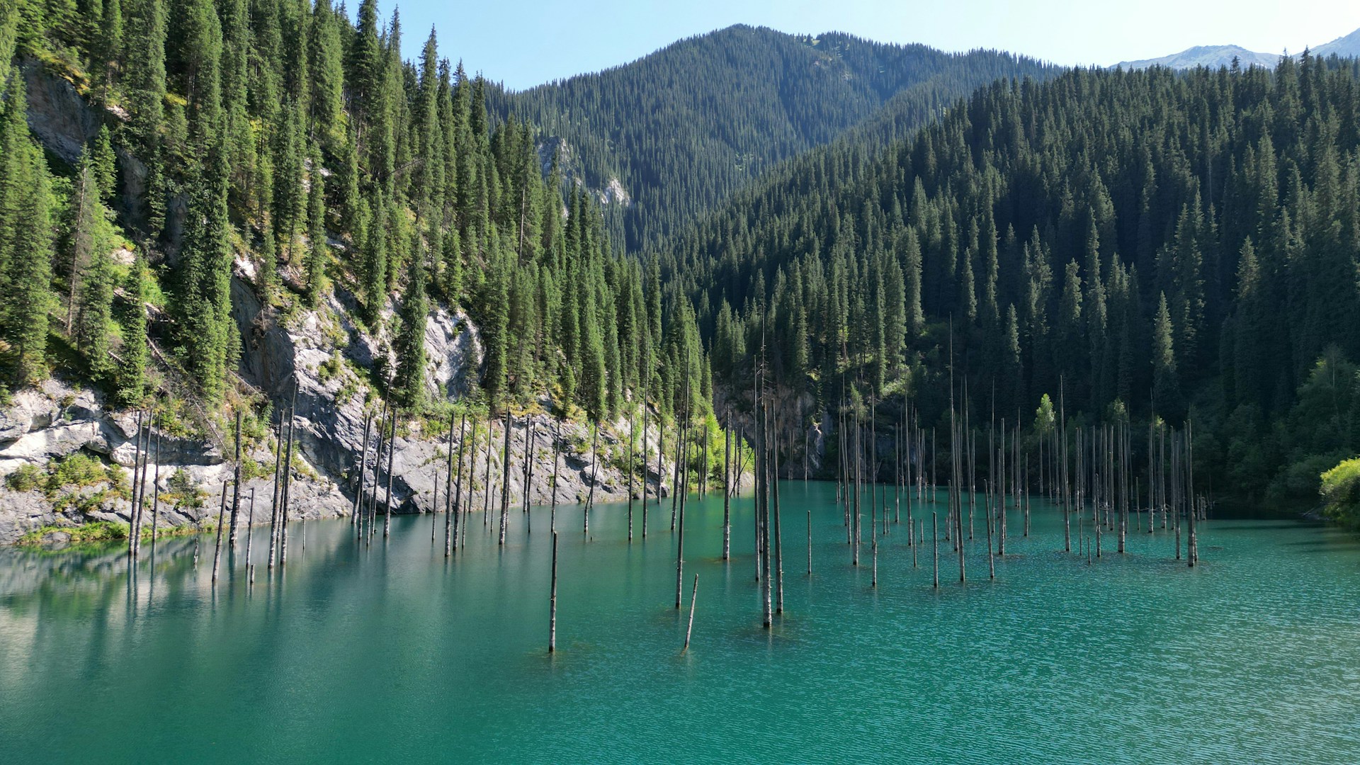 Blossoming Steppes and Nomadic Festivities