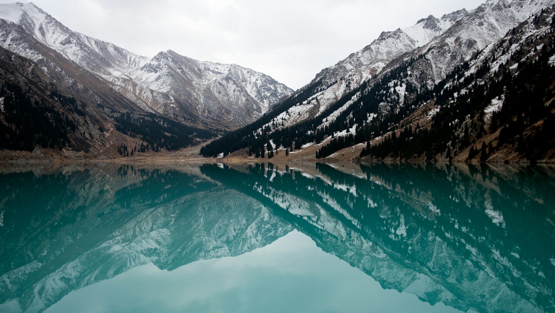 Frosty Hues and Cultural Warmth