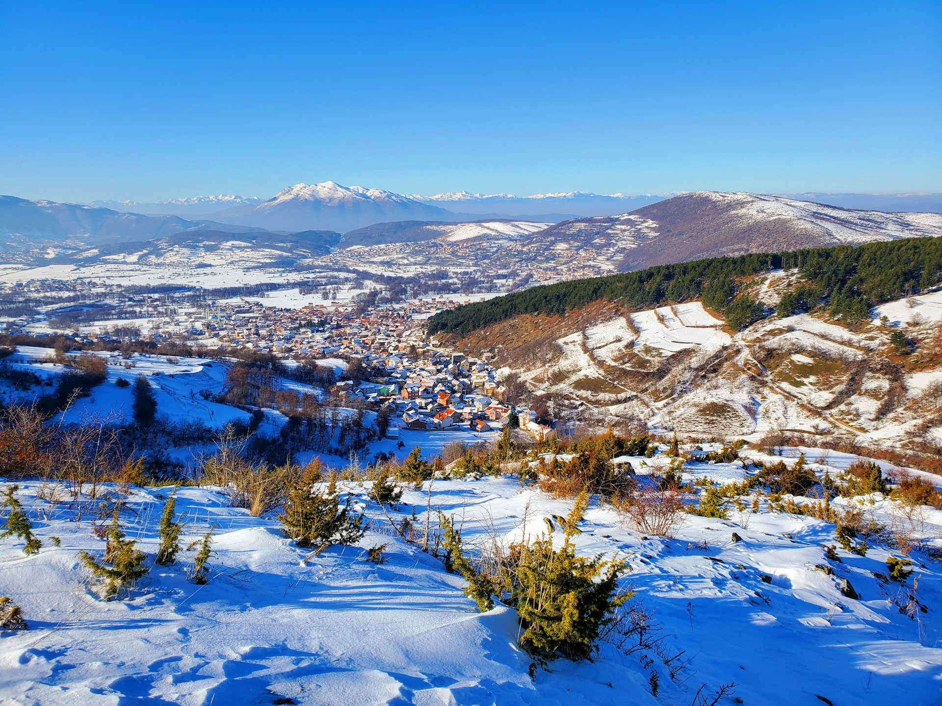 Winter’s Frosty Charm
