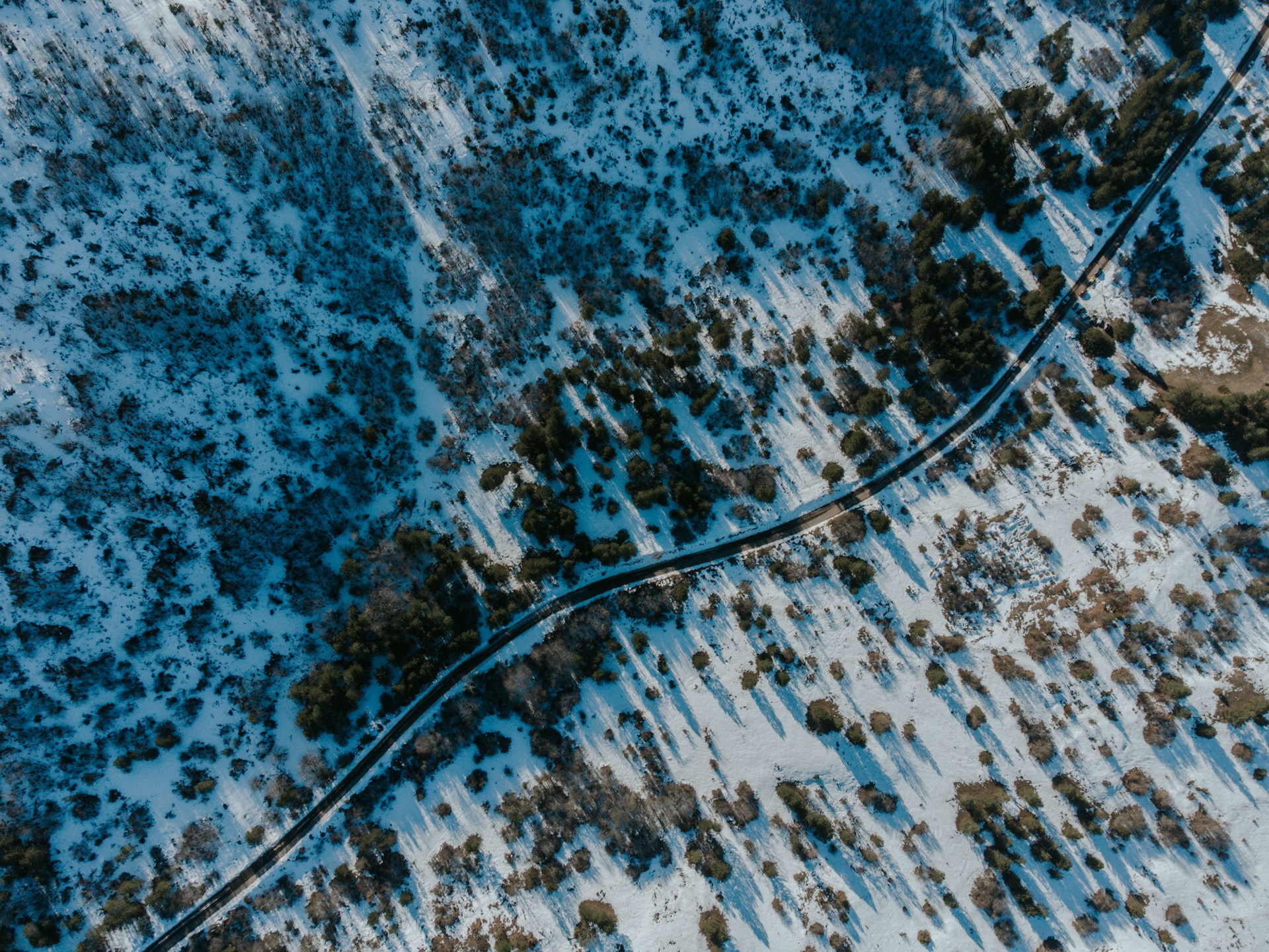 Snow-Dusted Romance