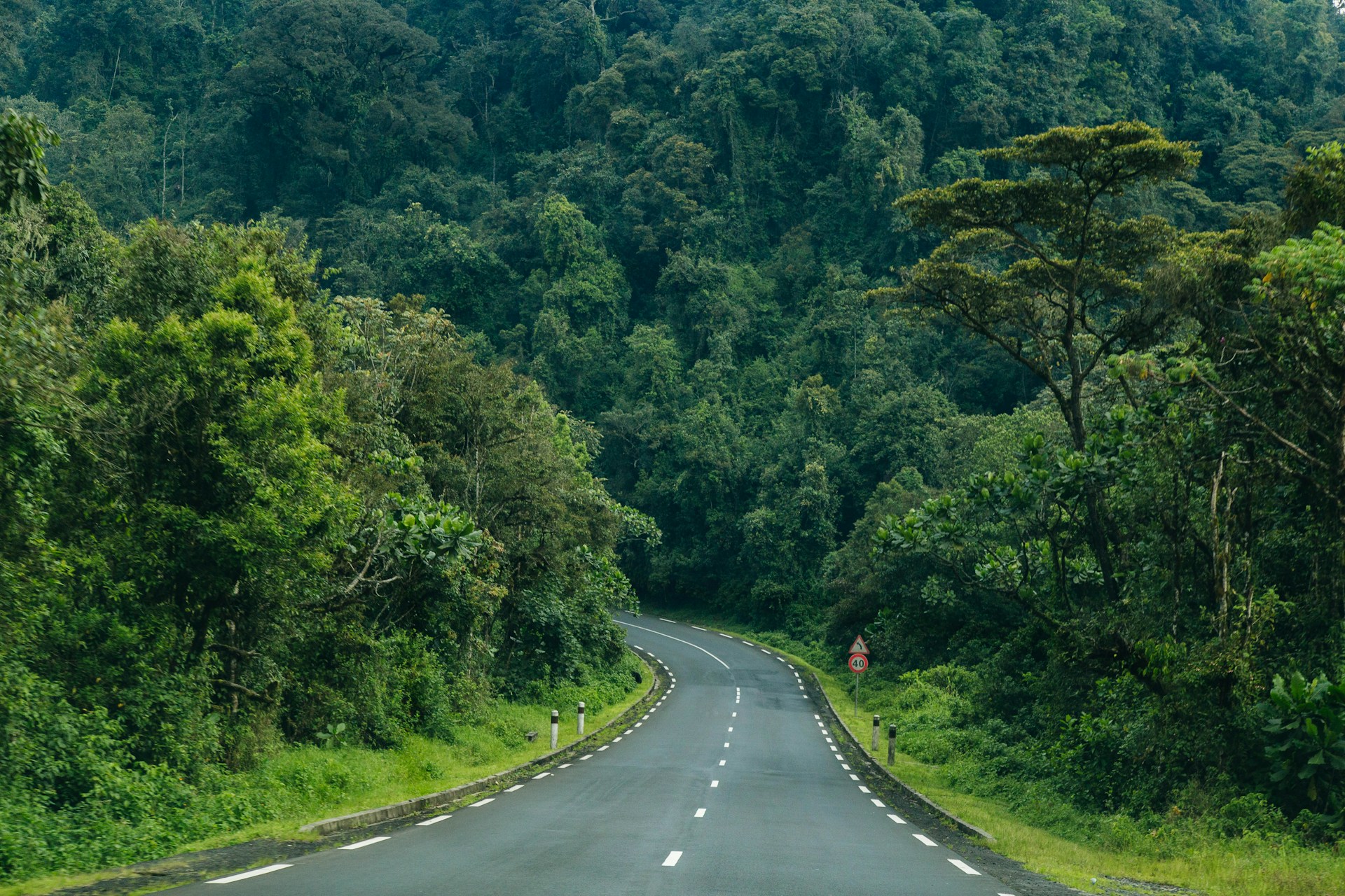 Early Rains and Lush Landscapes