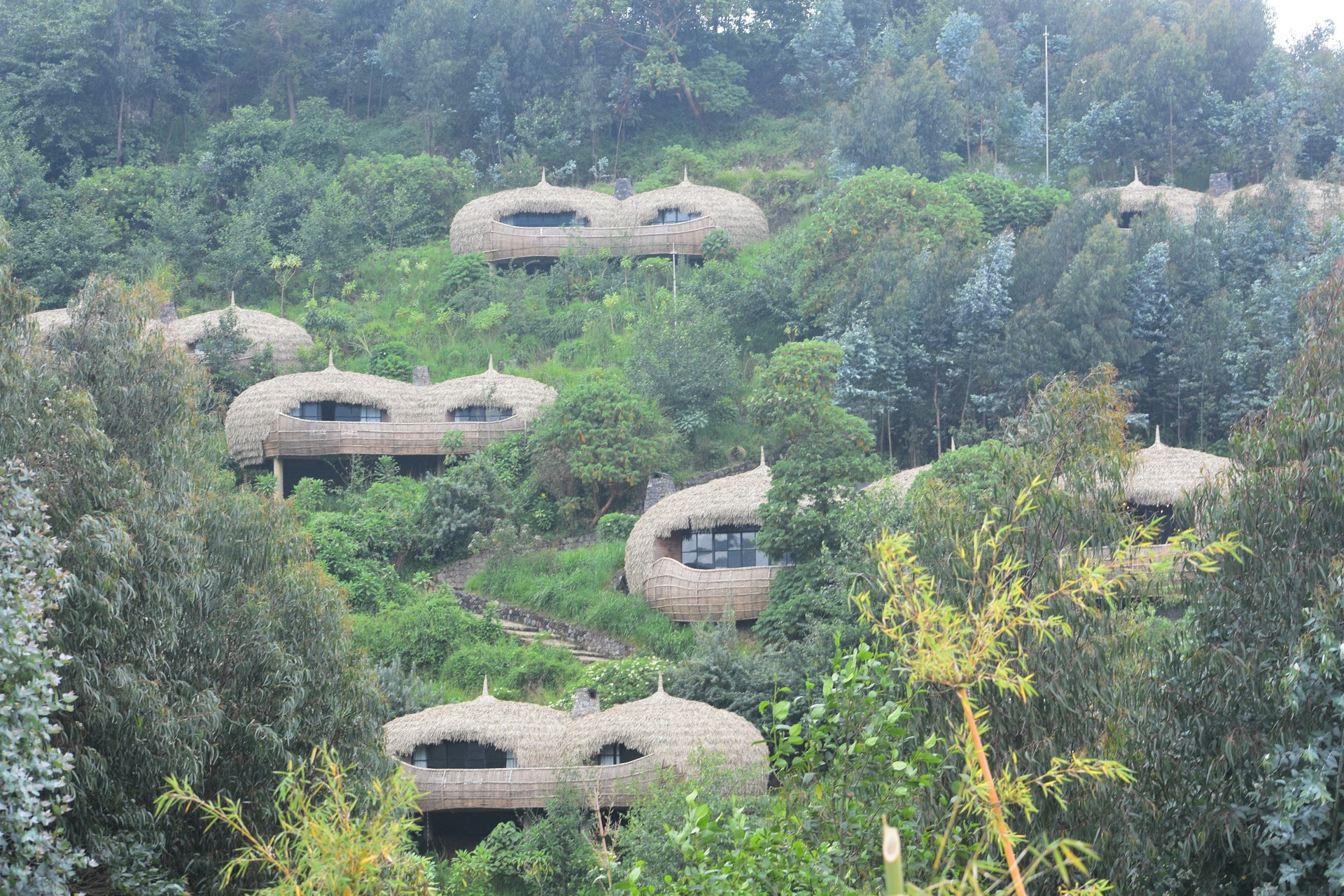 Sunlit Hills and Wildlife Wonders