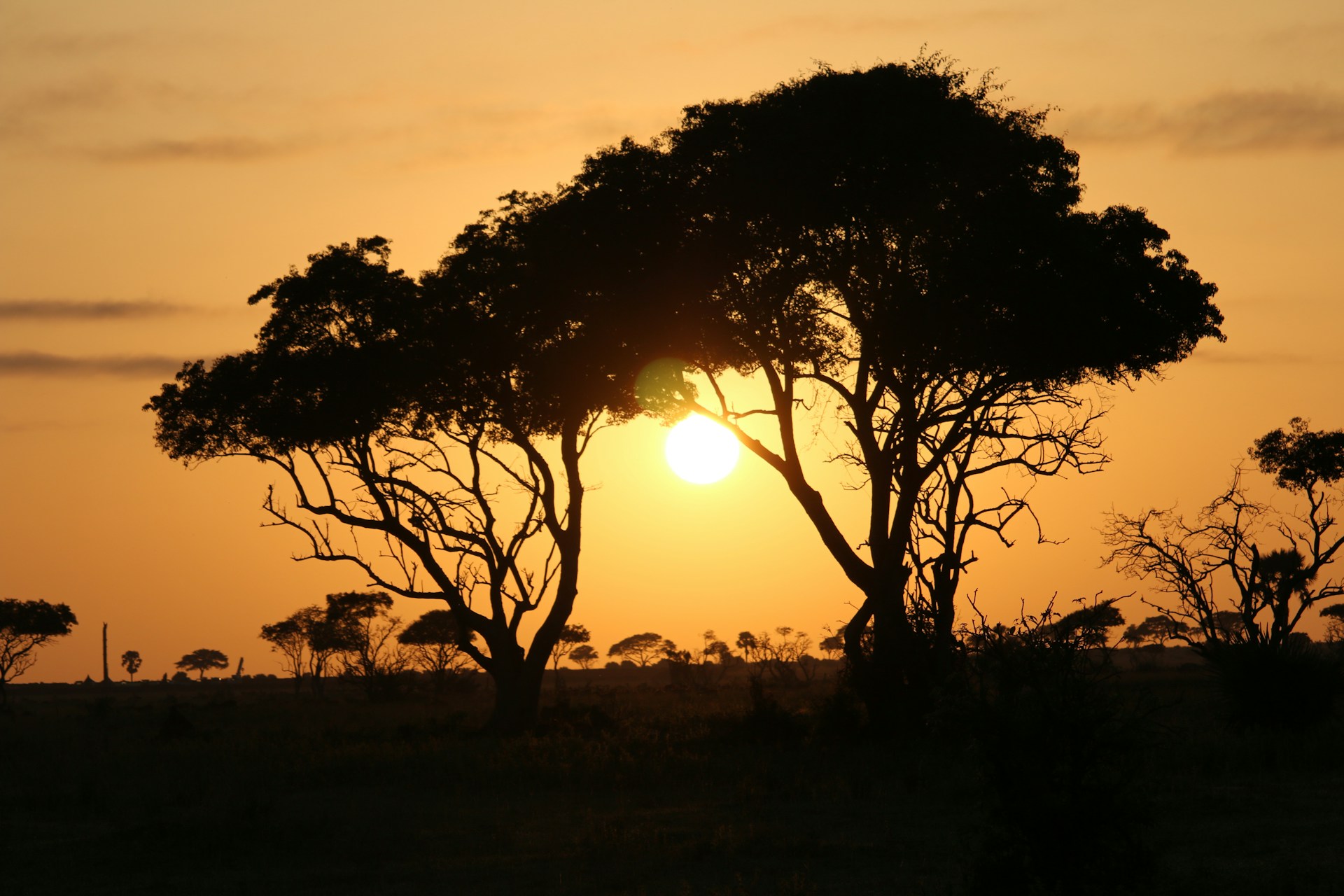 Late Dry Season’s Migration Prep