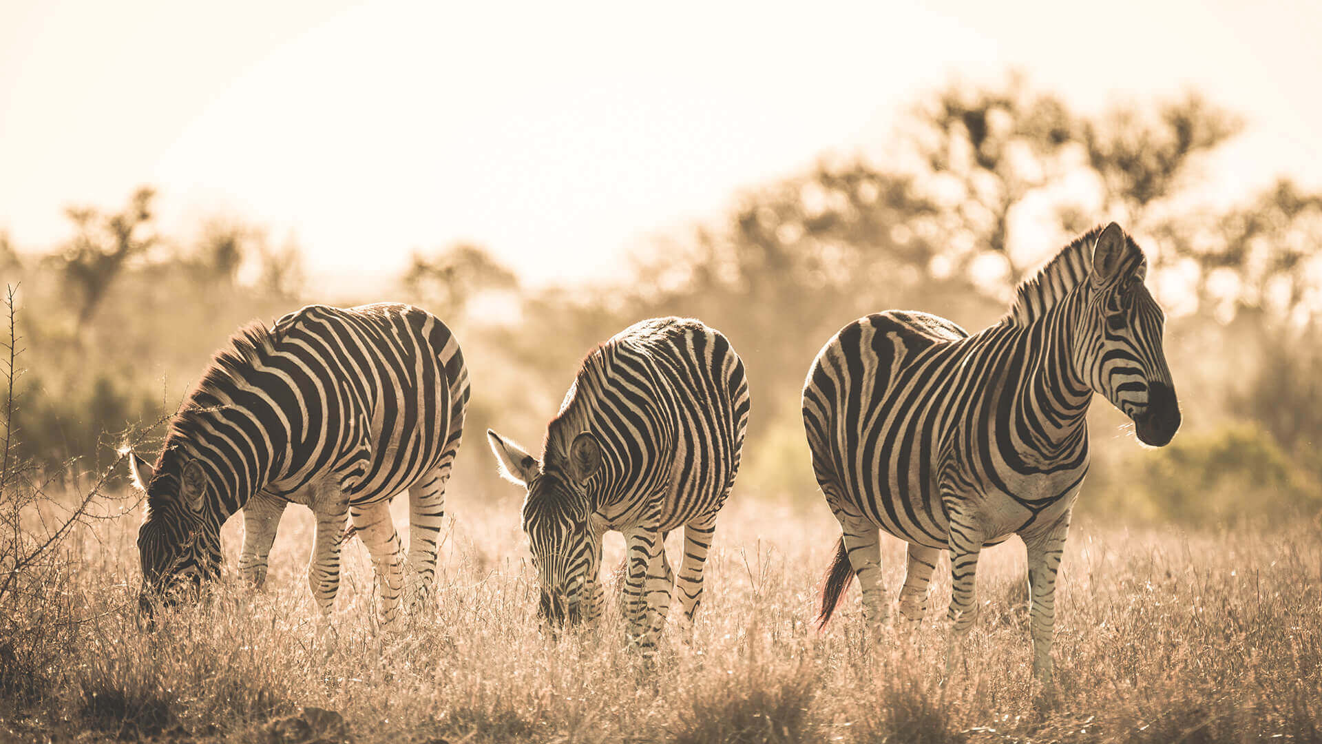 Botswana