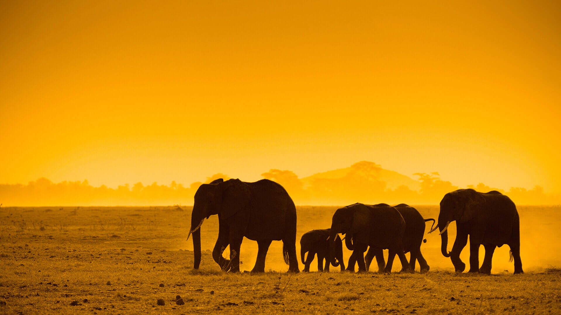 Kenya
