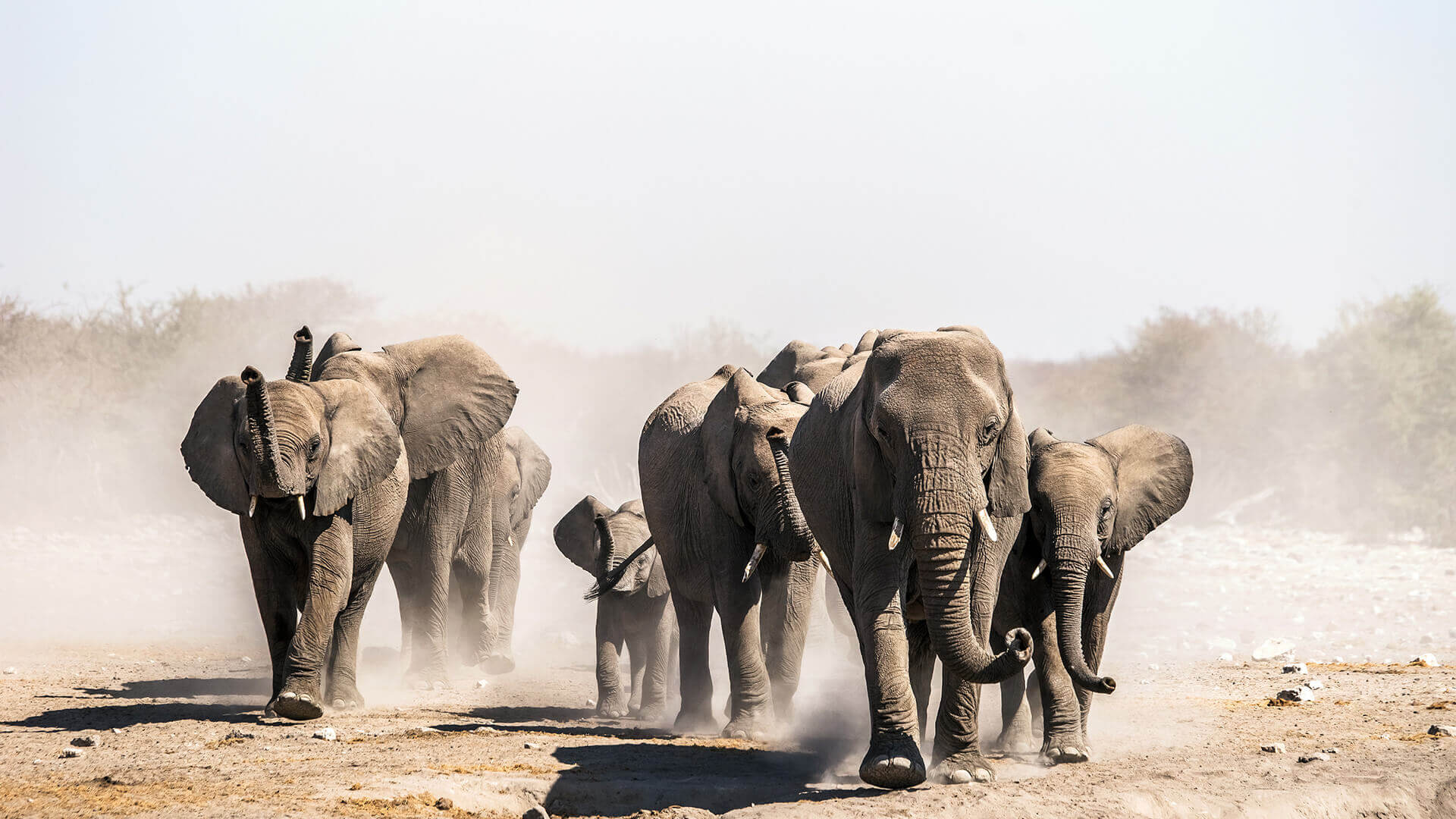 Namibia