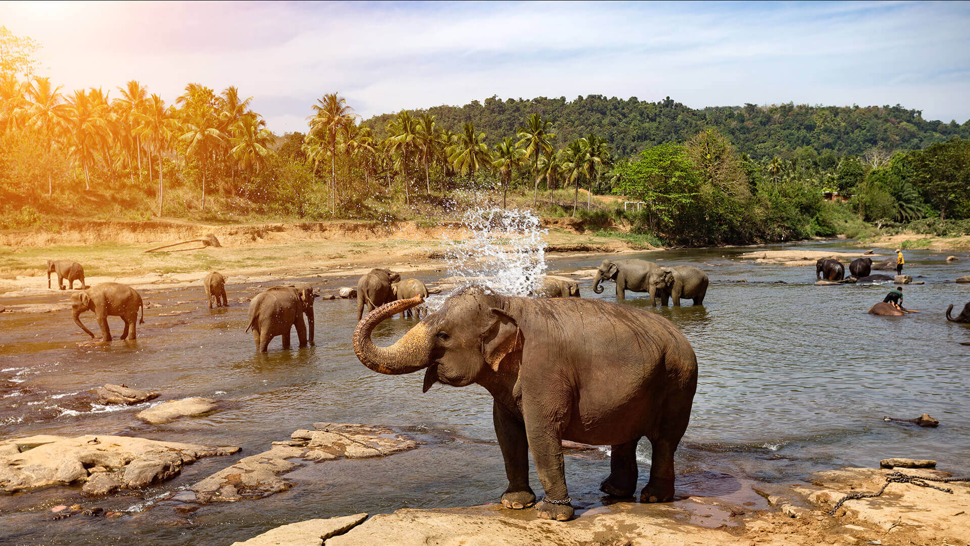 Sri Lanka