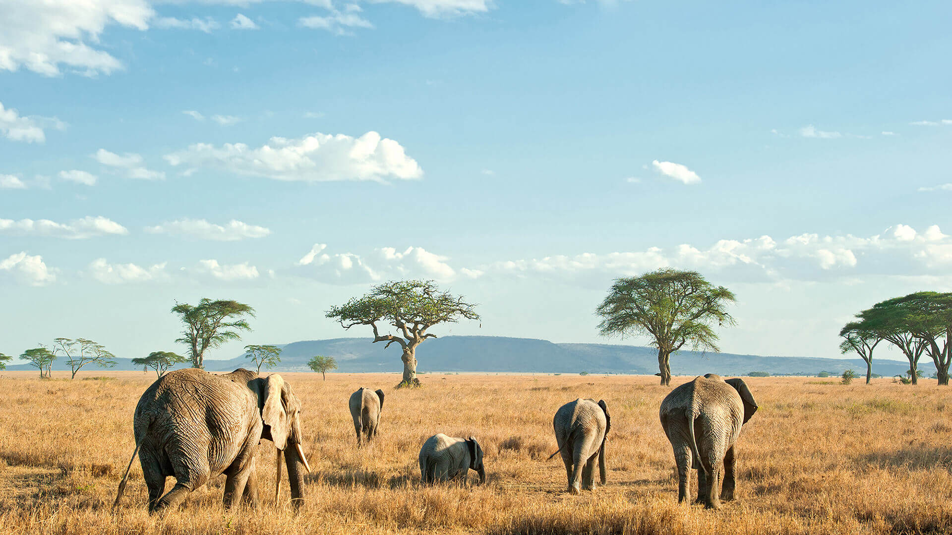 Tanzania