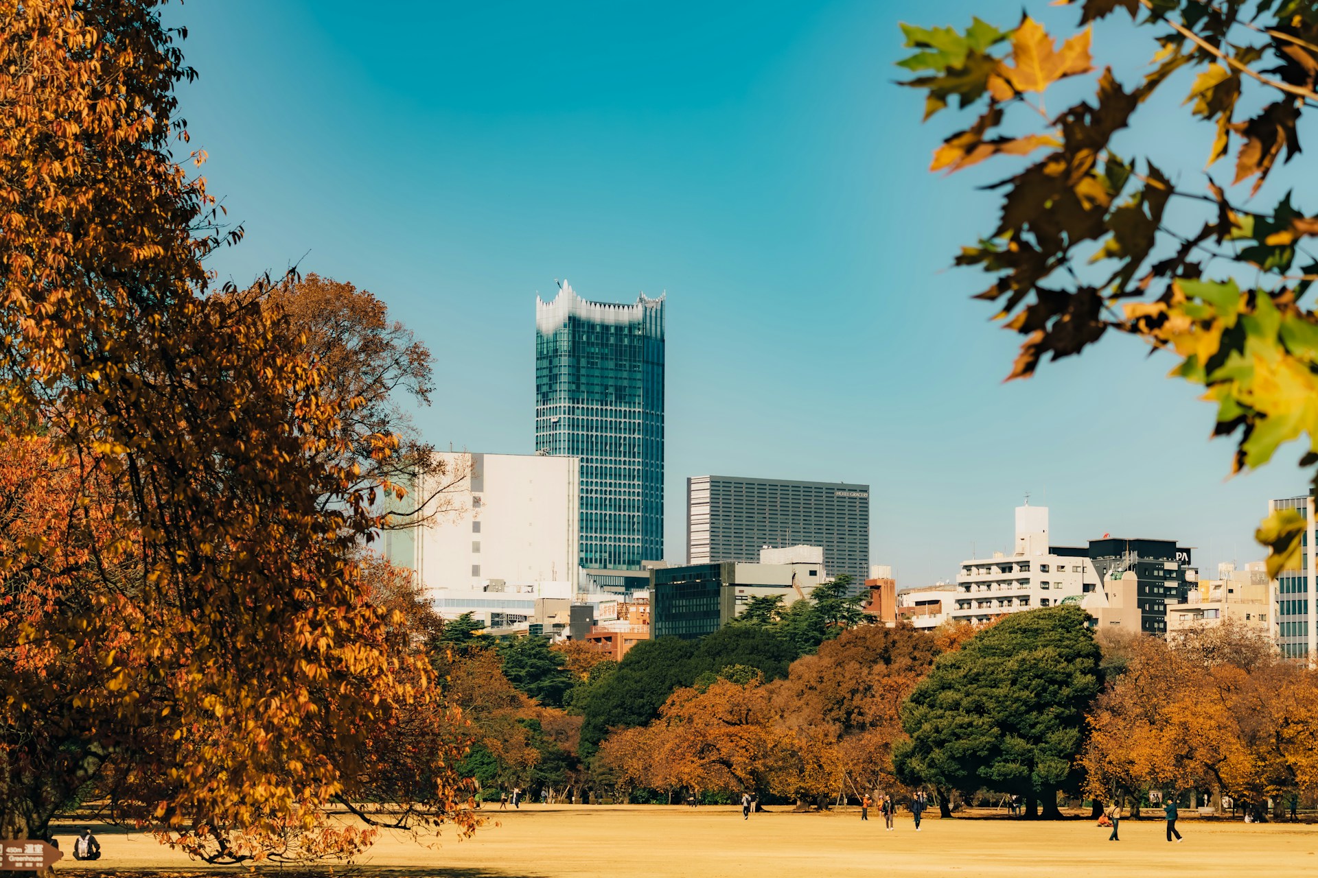 Shinjuku Gyoen National Garden