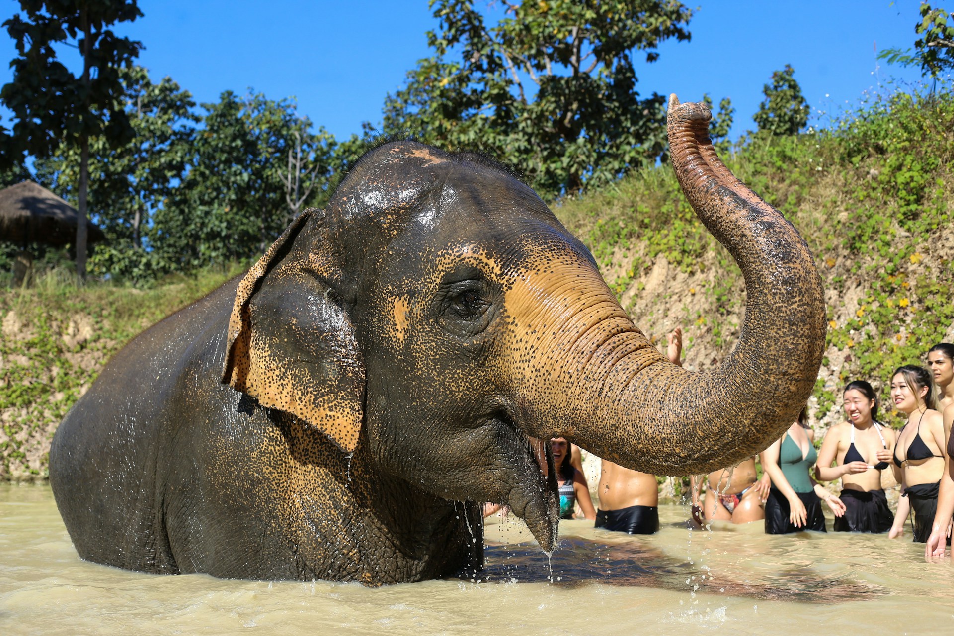 Elephant Nature Park