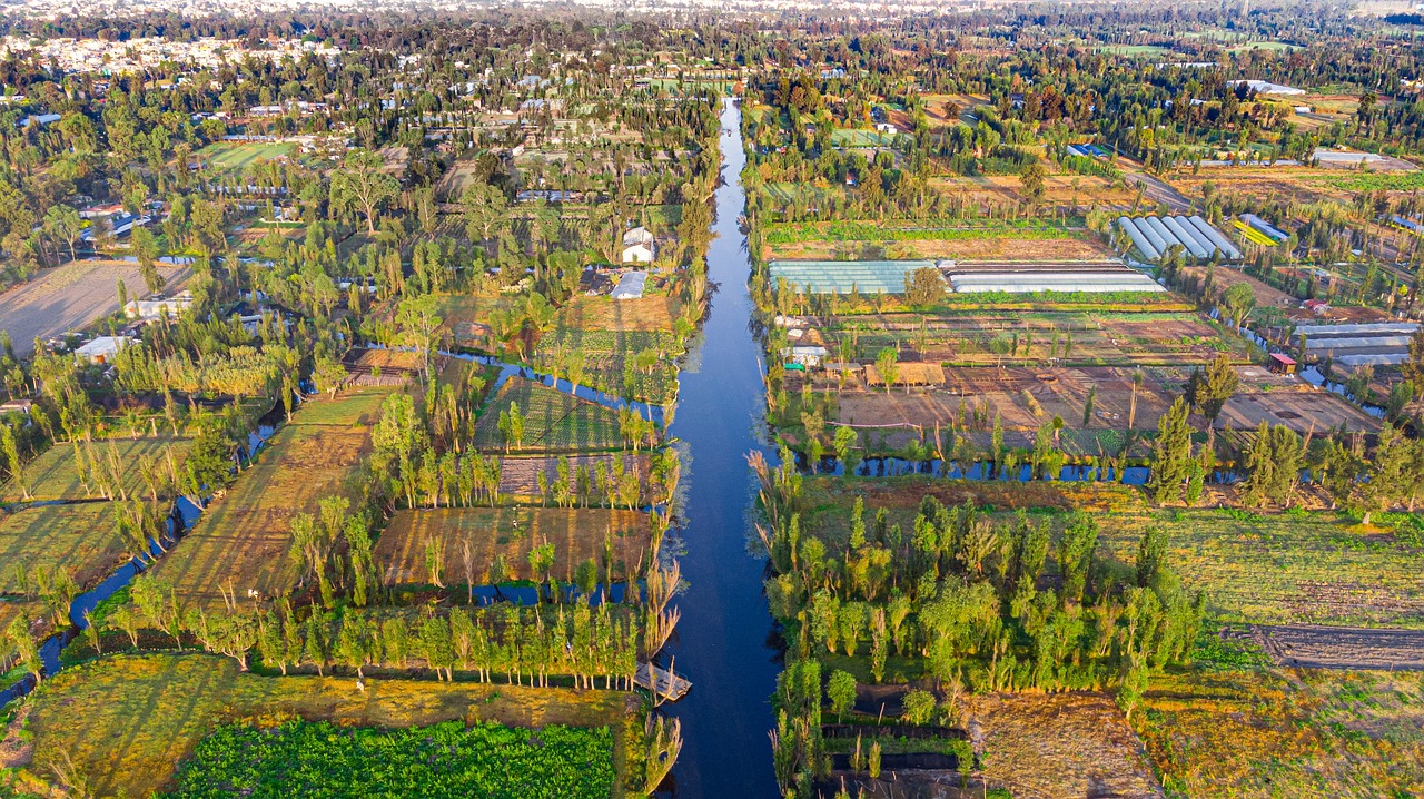 Xochimilco Canals
