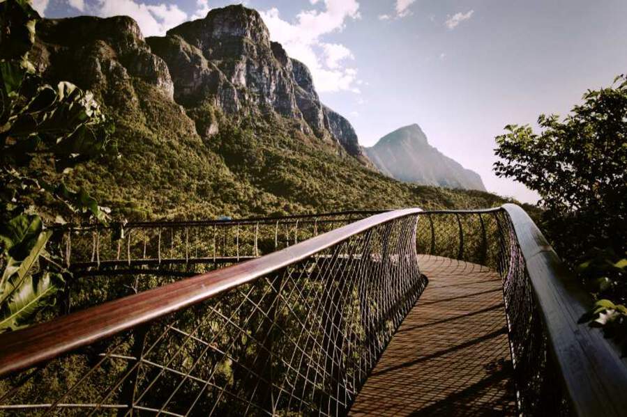 Kirstenbosch National Botanical Garden