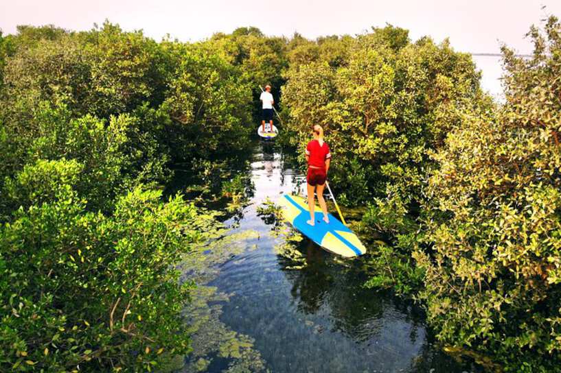 Umm Al Quwain Mangroves