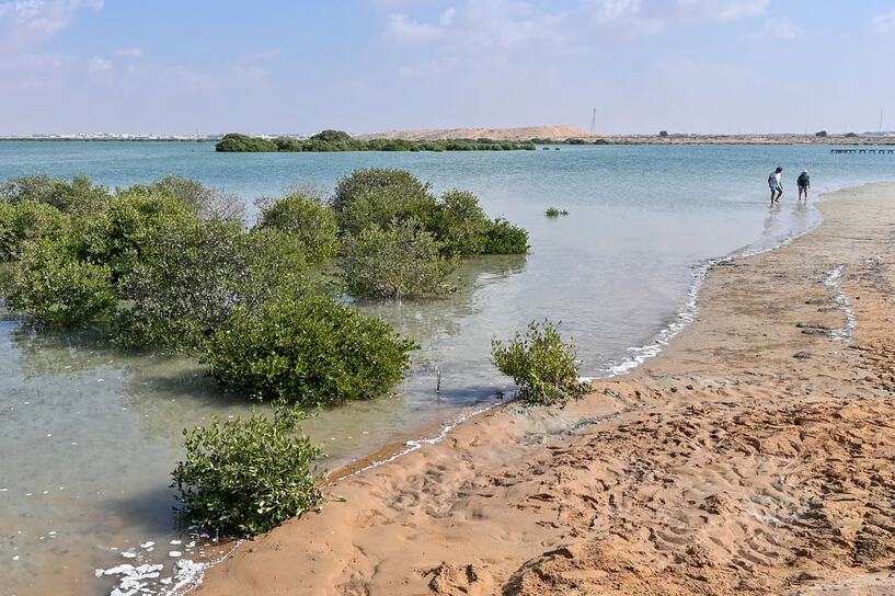 Al Sinniyah Island