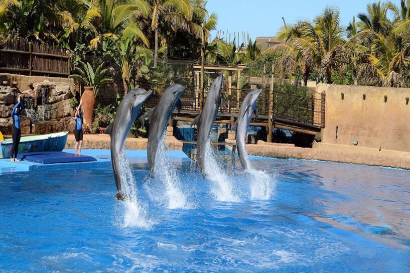 uShaka Marine World