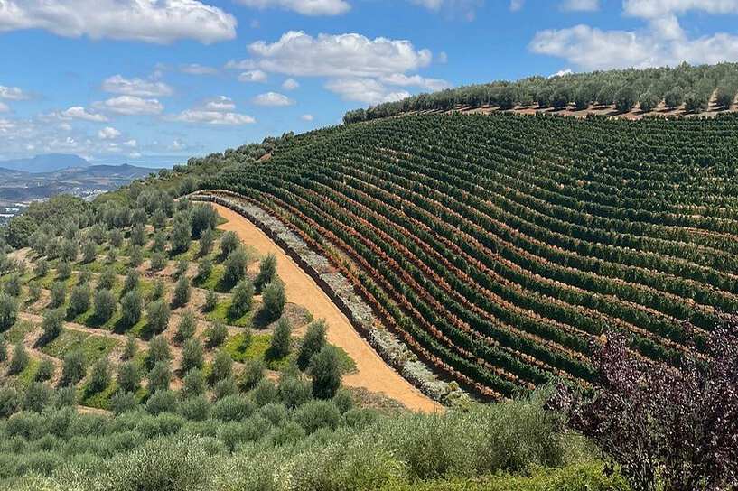 Tokara Wine Estate