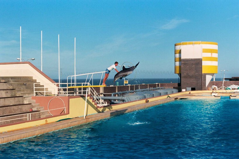 Bayworld