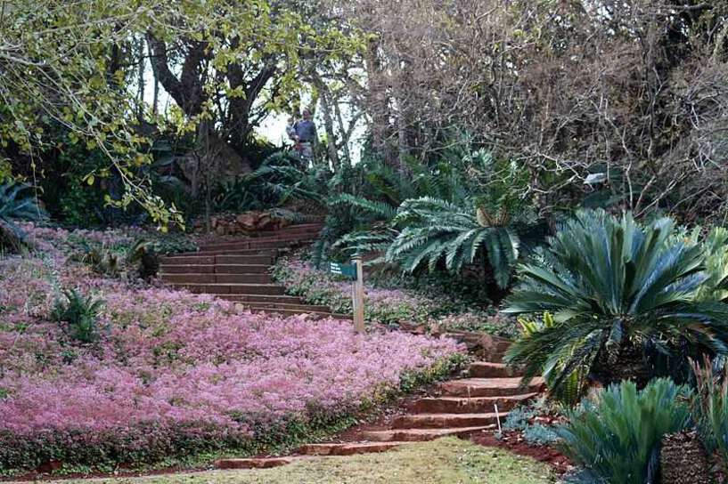 Pretoria National Botanical Garden
