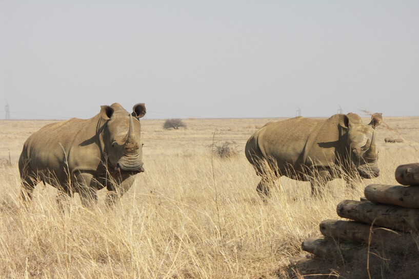 Rietvlei Nature Reserve