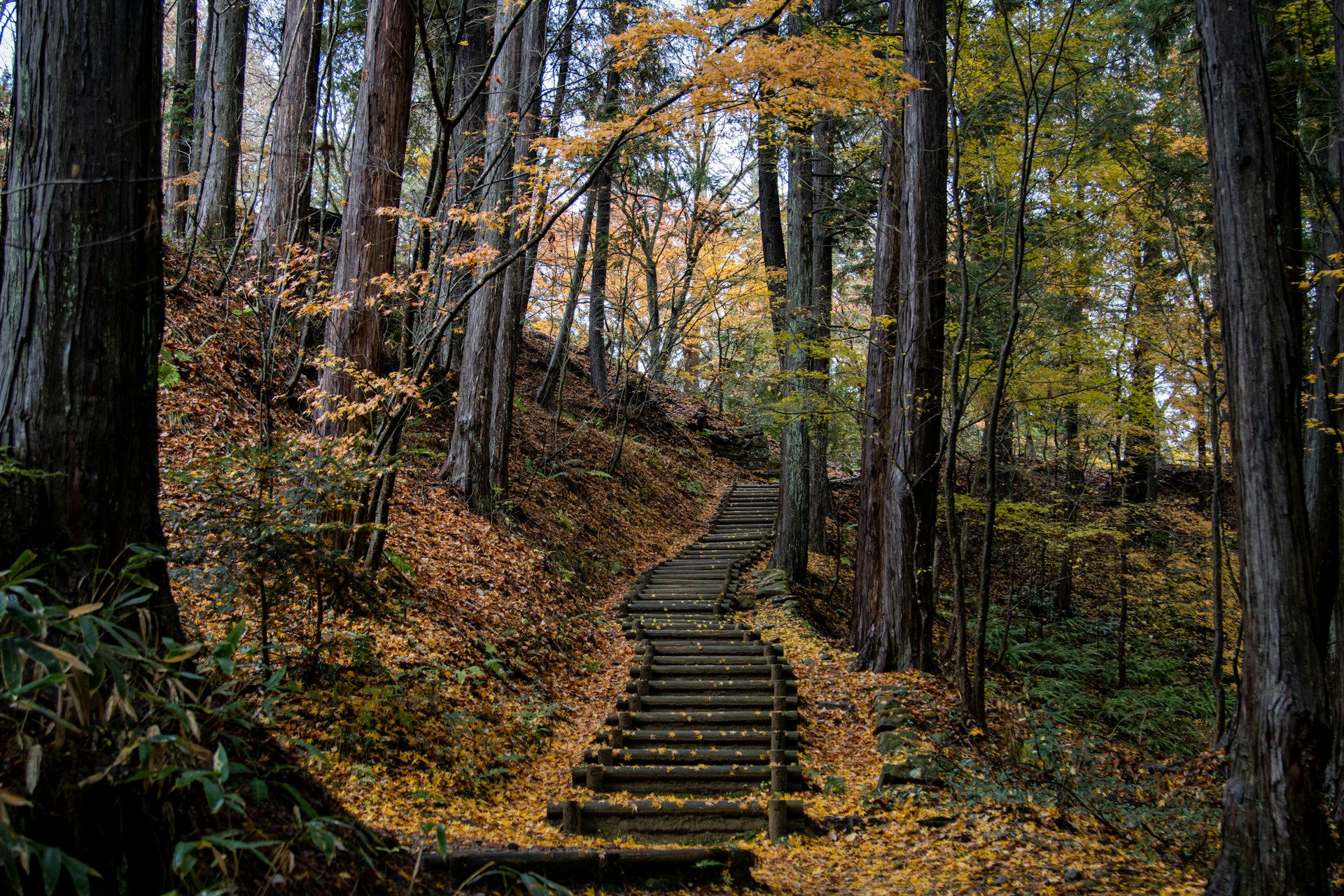 Higashiyama Walking Course