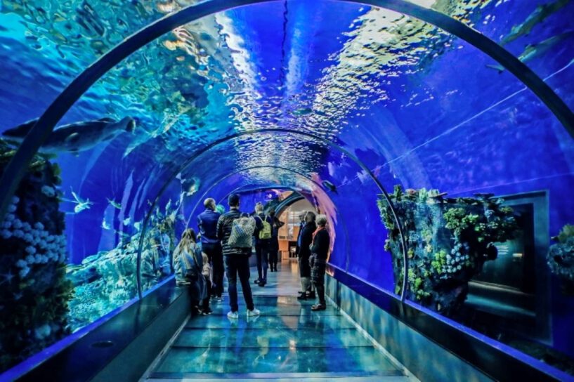 Hurghada Grand Aquarium