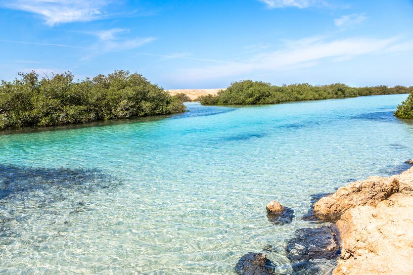 Ras Mohammed National Park