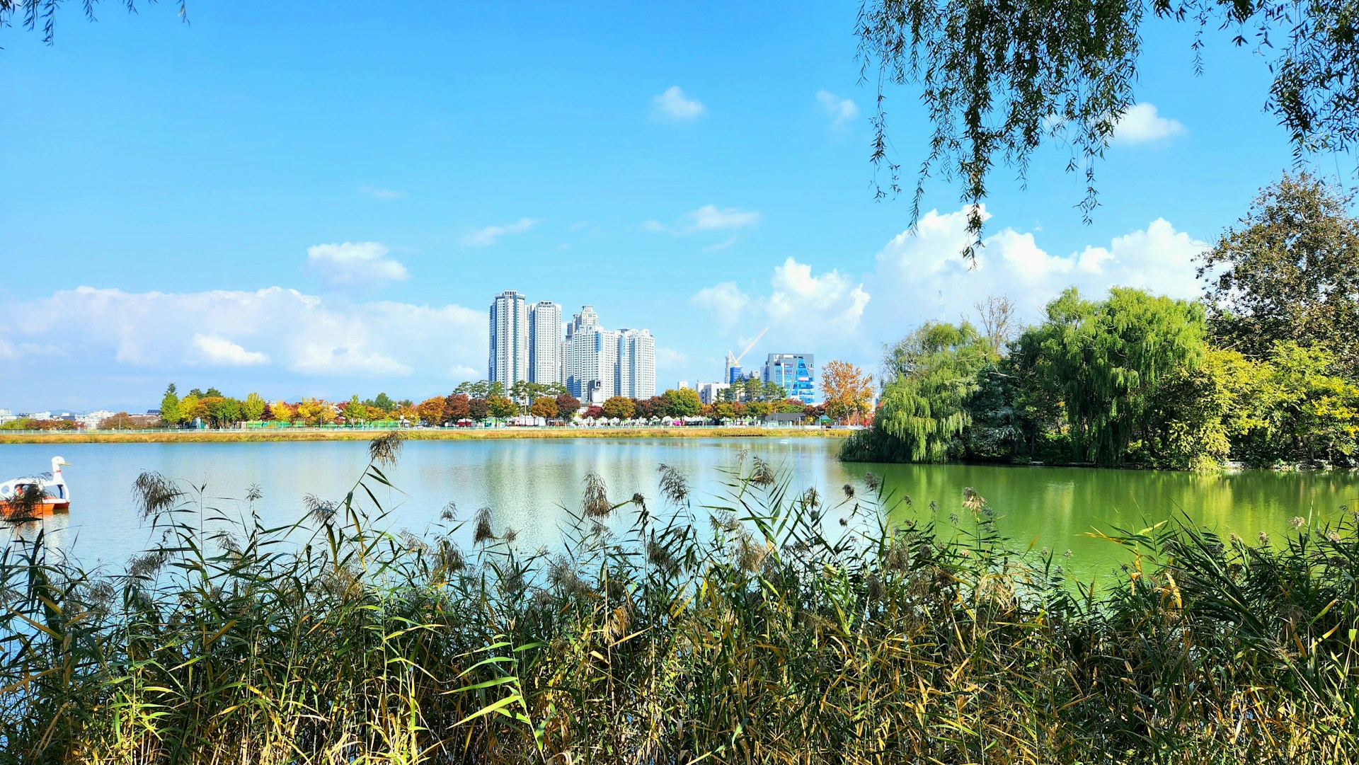 Suseong Lake