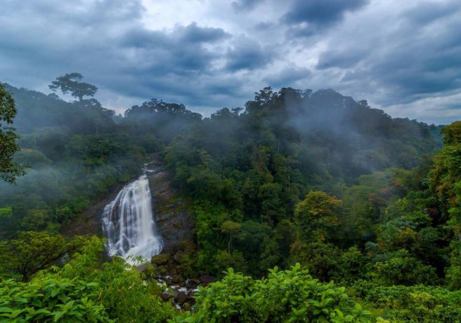 Marvel at the Beauty of Attukal Waterfalls