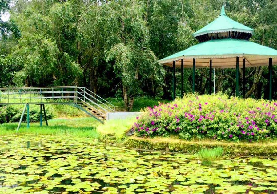 Visit the Blossom International Park