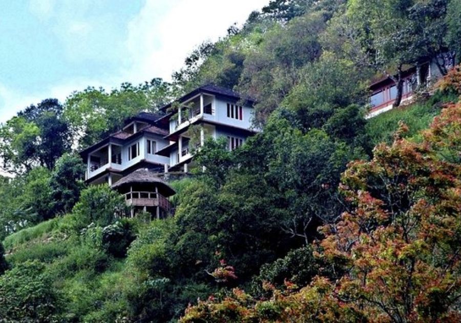 Indulge in Ayurvedic Spa and Wellness