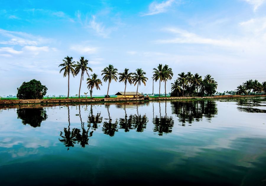 Explore the Scenic Kumarakom Backwaters