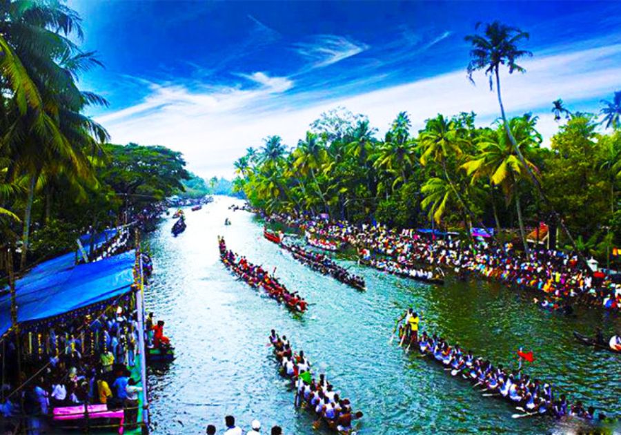 Indulge in Goan Cuisine & Seafood Delights