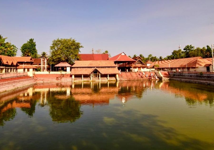 Discover Goa’s Spice Plantations