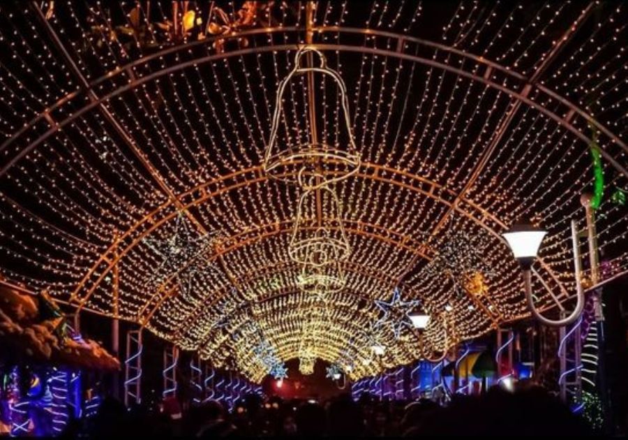 Experience Nightlife at Park Street