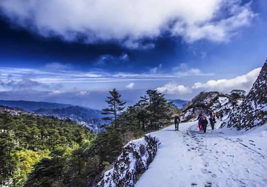 Trek to Sandakphu