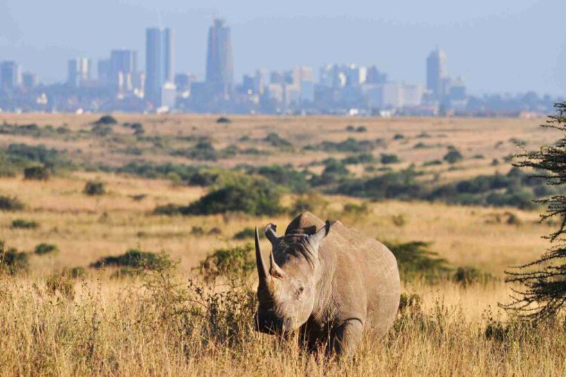 Nairobi National Park